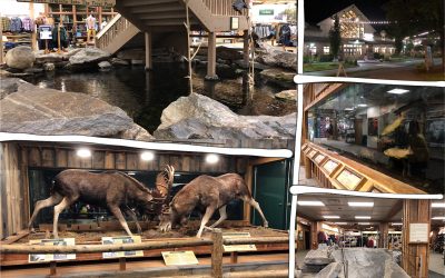 Maine: Exploring a new customer experience