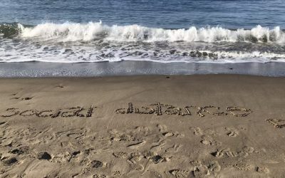 Mobile Biosphere Day Two – COVID-19 washes away.