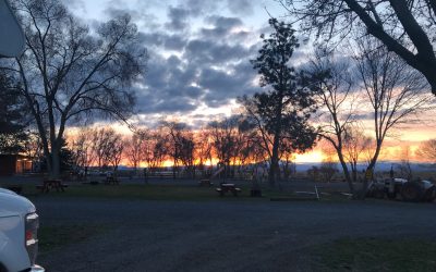 Mobile Biosphere Day 21: Last night under the stars