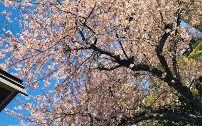 It’s good to be home.