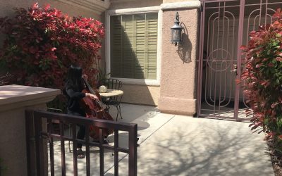 Mobile Biosphere Day 19: A little surprise