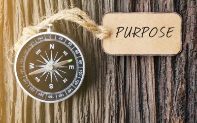 Purpose is not a luxury.