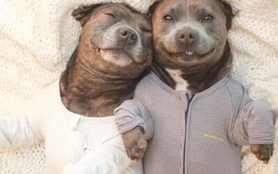 The importance of psychological safety.