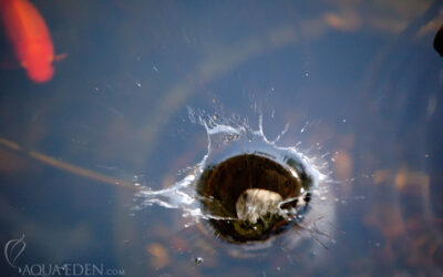 3 ways to increase your impact now